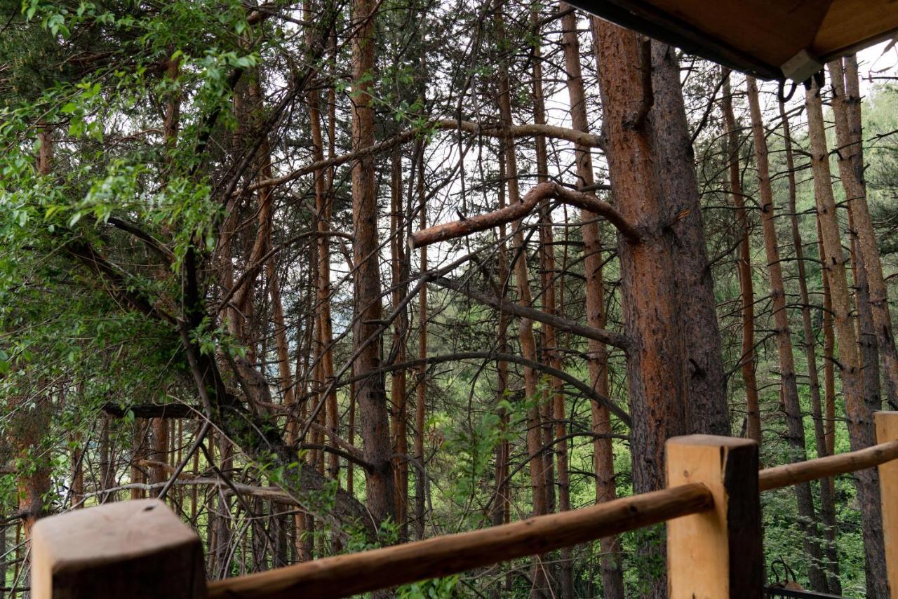 Qazaq Auyl Eco Hotel Алматы Экстерьер фото